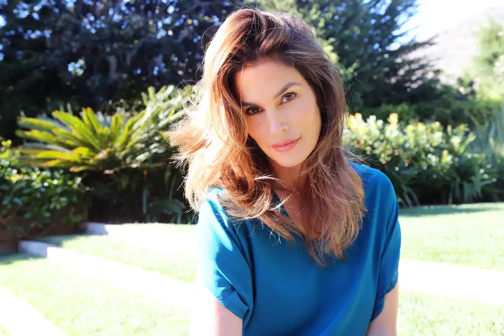 Cindy Crawford's Husband Denies Assault & Firing Allegations