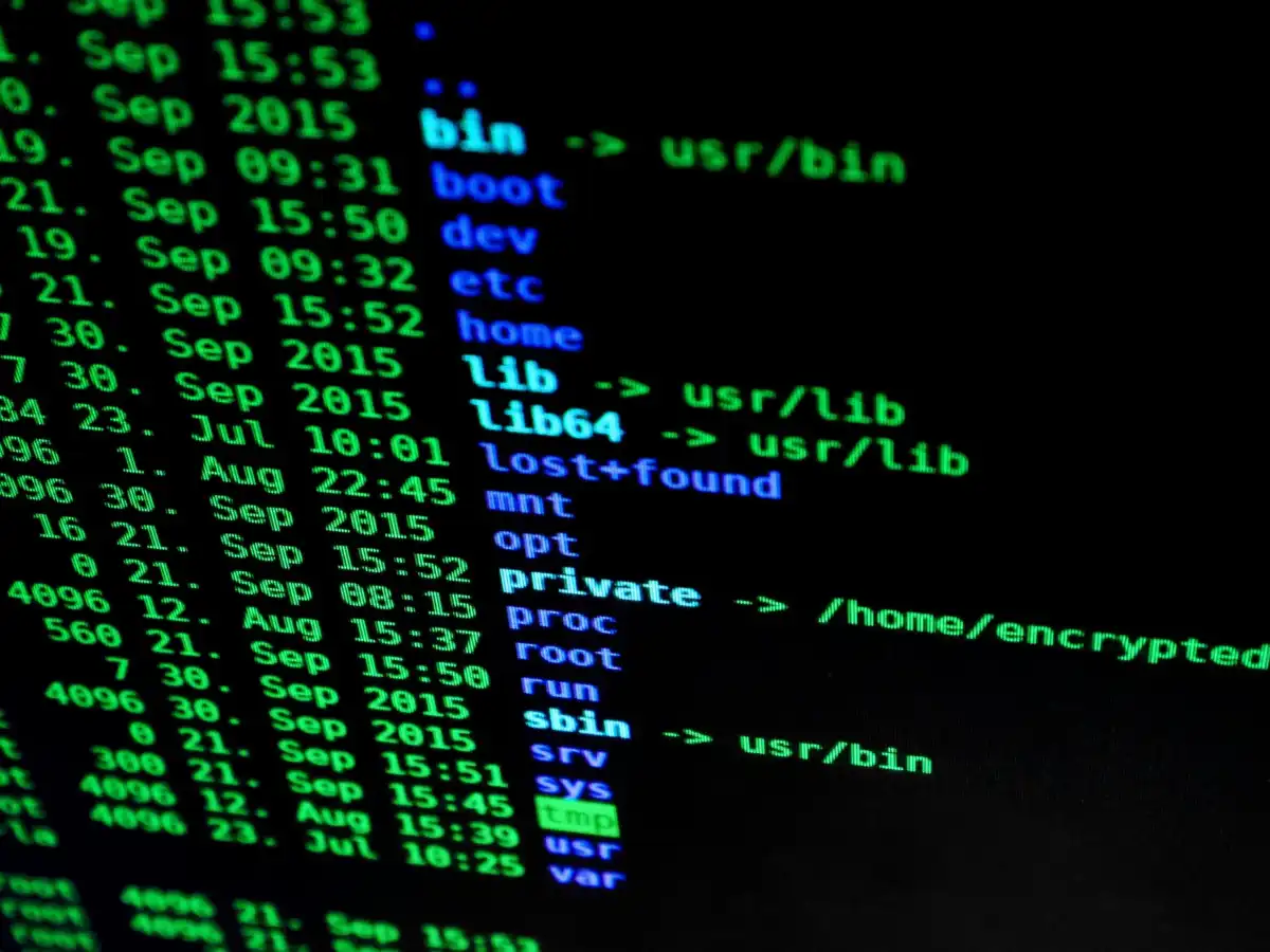 Privacy for Adult Content Creators: Safeguarding Personal Information