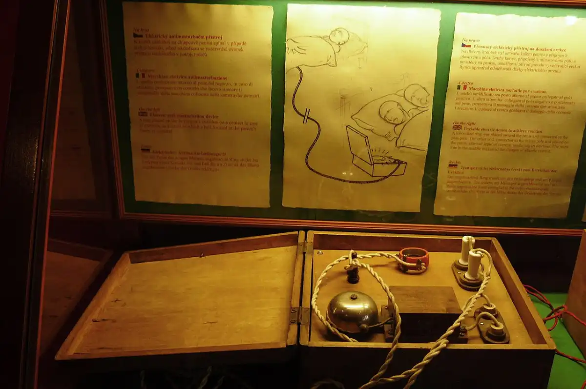 Evolution of Masturbators: From Ancient Origins to Modern Tech