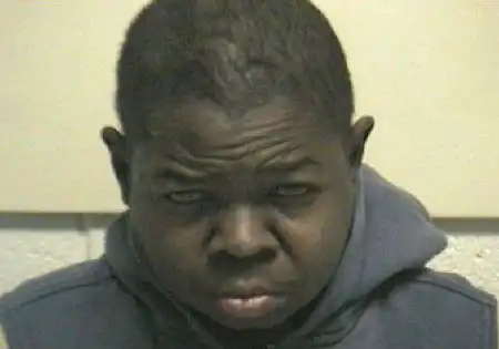 Gary Coleman's Wife Shannon Price Arrested for Domestic Violence