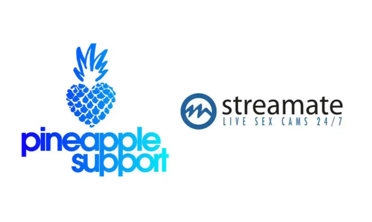 Pineapple Support & Streamate Launch Self-Parenting Group