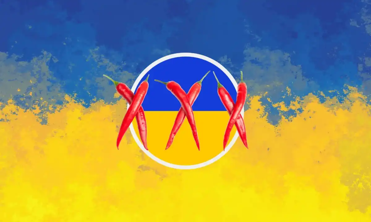 Ukraine Considers Decriminalizing Pornography to Fund War Efforts